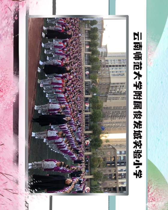 65云南师范大学附属俊发城实验小学