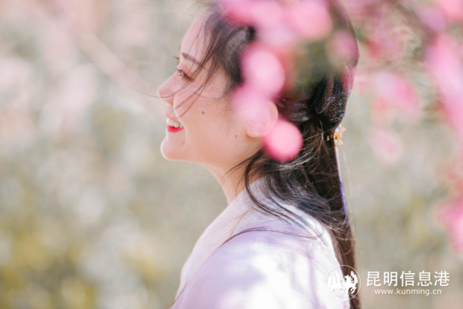 最美的花季完整版原唱 764793_670x670.png