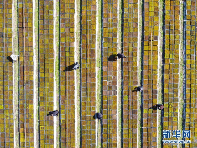 1127173306_16149931989921n