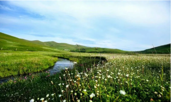 1615513643602136.png image.png