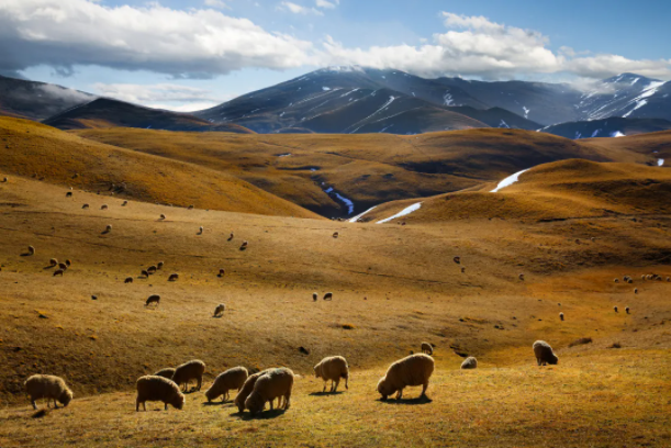 1615513663671016.png image.png