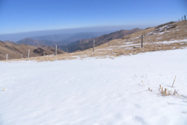 1615513680508127.png image.png