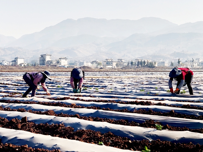 dfd2b186aa0f41588fcb37d4b8f04249