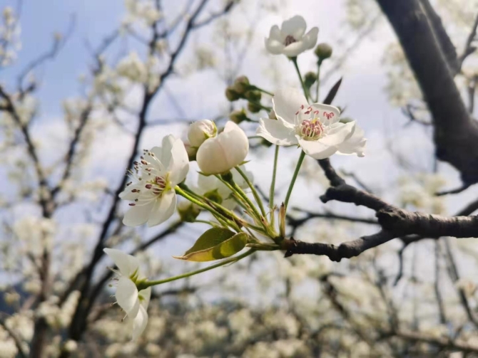 654934de7cf5dc016c5b98292ba36d64