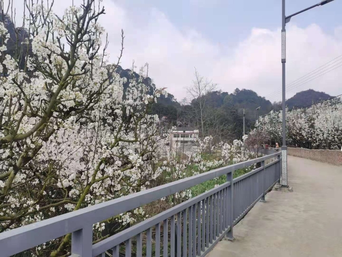 1172bc0a77c03cc0f756e304f8c87df4