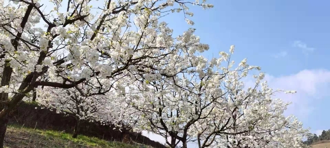 b08e6c92c71a5f2b039de0258a47c484