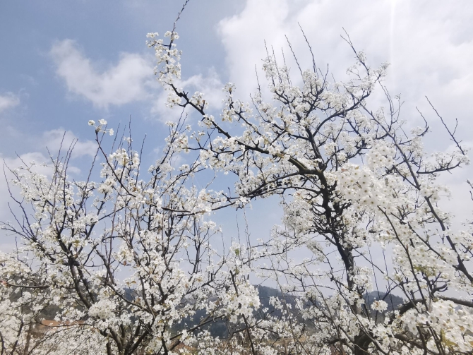 d972d15738da601d5edfea10b38fe4d4