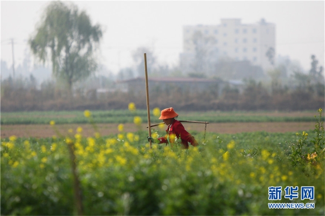 139812089_16158042537371n 139812089_16158042537371n