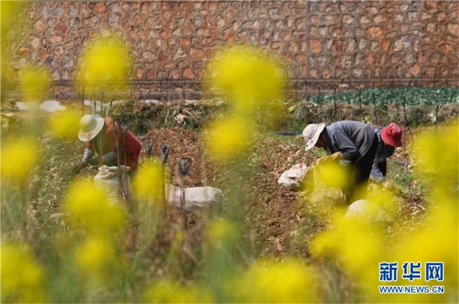 139812089_16158042545881n 139812089_16158042545881n