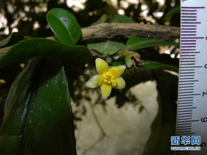 1127218683_16158925144891n 1127218683_16158925144891n