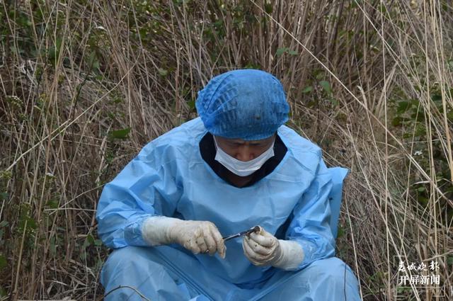 女法官 费丹艺1.jpg