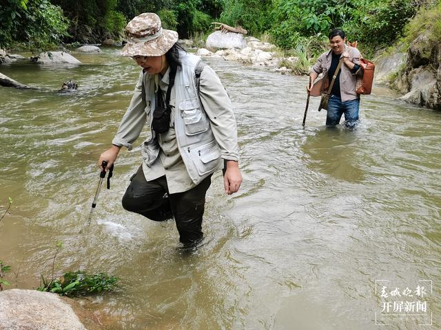 云南文山发现植物新种云南管蕊茶