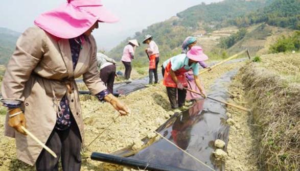 /lanyaWeb/lincangnews/upload/image/20210323/1616466239462069.jpg 1.jpg