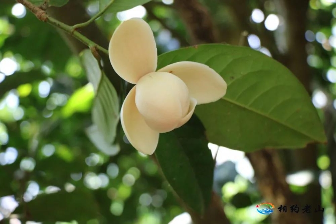 2dafa09d81e2a39691ca7f226505fac1 2dafa09d81e2a39691ca7f226505fac1