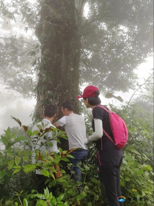 2bd7083535b863216ef5d8a4a5dc81fd 2bd7083535b863216ef5d8a4a5dc81fd