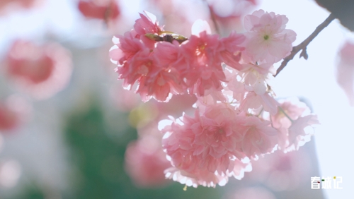 834be45850e4ddabef6a3b347ee1862