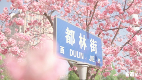 4e5d67bc1ee11a2caf9f0e265abfb5b