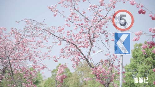 c7c4cf4adbc5563526b42ef8e074b9c