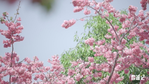 8c1d6a01e93f8e0d6e6e2115b6c0649