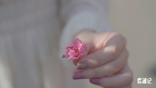 c9b755ee18aa8b99c2fd1764ba4eec8