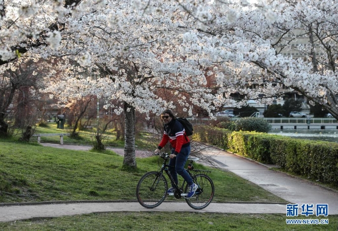 1127254244_16166553855791n