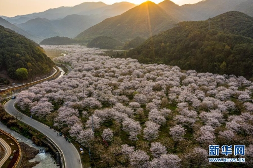 f44d30758ab021c683ab13