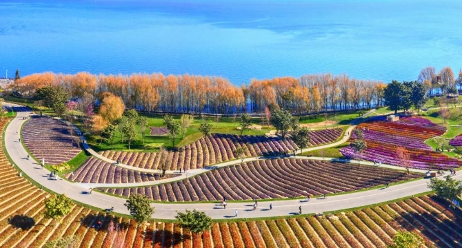 洱海生态廊道 杨继培 摄