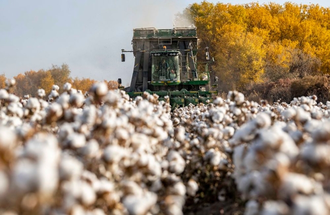 XxjidoC007040_20210326_CBMFN0A001 XxjidoC007040_20210326_CBMFN0A001