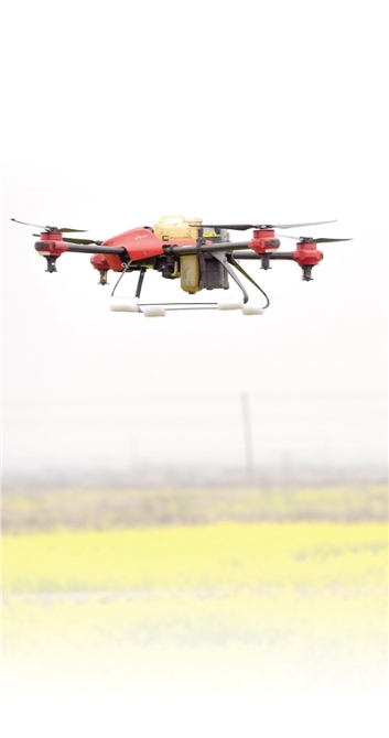 202103310501529894 202103310501529894