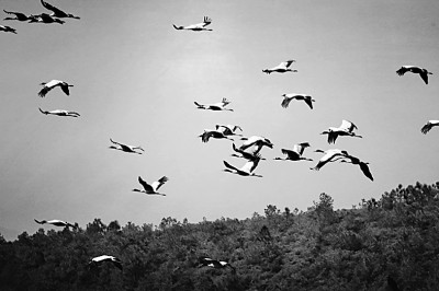 昆明争当全国生态文明建设示范市 昆明争当全国生态文明建设示范市