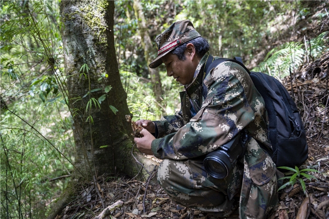 微信图片_20210331104426 微信图片_20210331104426