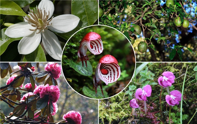 微信图片_20210331104346 微信图片_20210331104346