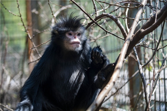 微信图片_20210331104419 微信图片_20210331104419