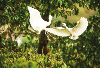 00304100792_72be75e0.jpg 00304100792_72be75e0.jpg