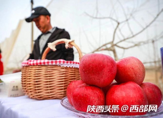 正在上传... c1333a8b1357fcc9f8b5bd71f0b9b101.png