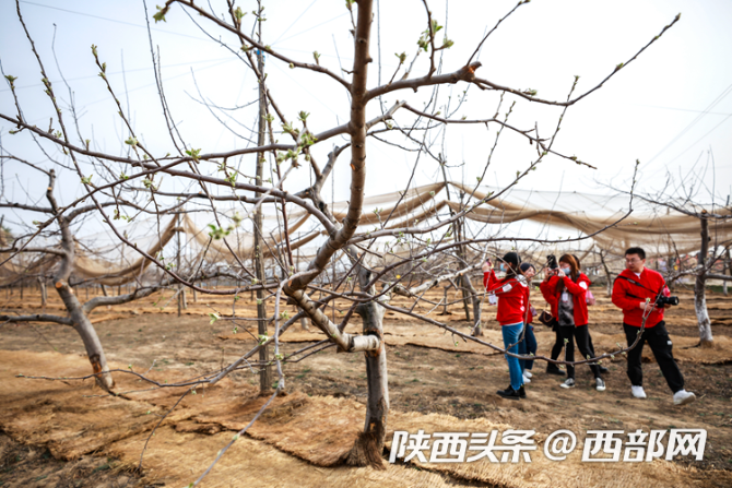 正在上传... ecc1b7bf5a79224d9df61ace3bab8823.png