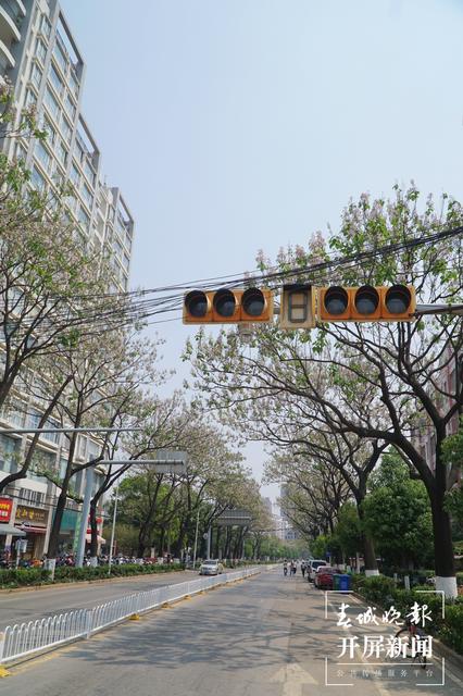 两道繁花、清香怡人，昆明这条小众“花路”唯美却少为人知