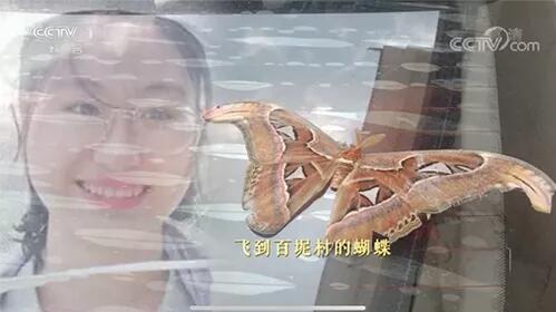 超1800人牺牲在脱贫攻坚一线 那些留在我们心中的扶贫英雄