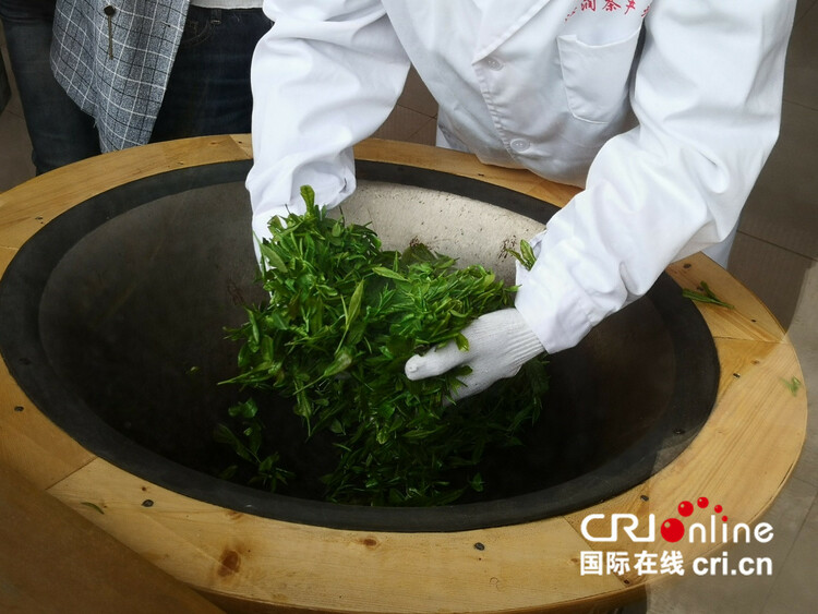 【民族要复兴 乡村必振兴】贵州清镇:以茶产业助力乡村振兴_fororder_3