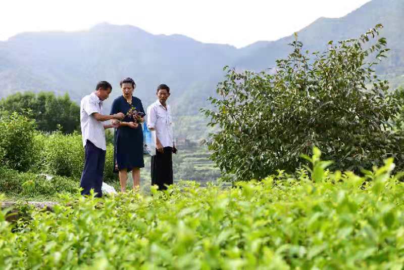 1617415056123432.jpeg 7385d061987319b5f874bf282a7f4f4.jpg