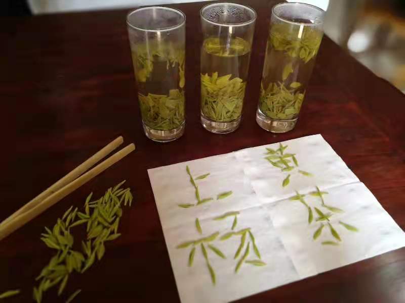 1617415084468053.jpeg 0cdf66b00764424ac7fc61d7fbffe65.jpg