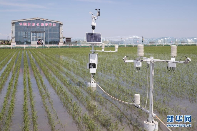 黑龙江省富锦市东北水田现代农机专业合作社稻田里的专业设备（2020年6月12日摄）。