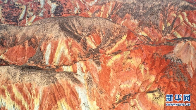 1127301038_16177562931571n (1)