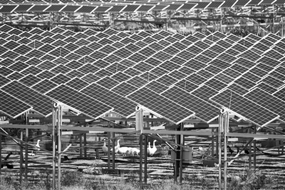 库布其模式“一增一减”助力碳中和