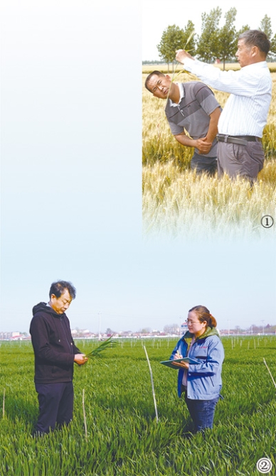 1618171747717_1 1618171747717_1