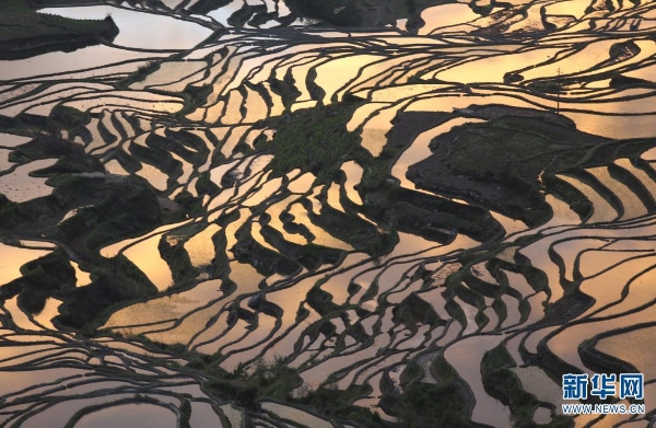 139869238_16179553188121n 139869238_16179553188121n