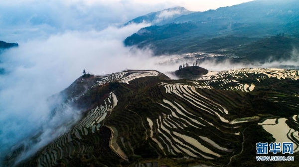 139869238_16179553189051n 139869238_16179553189051n