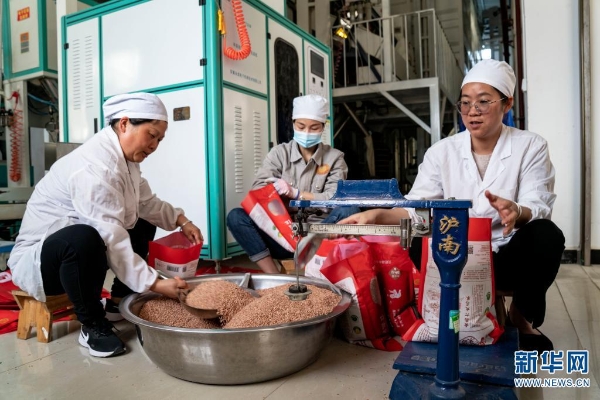 139869238_16179553189761n 139869238_16179553189761n