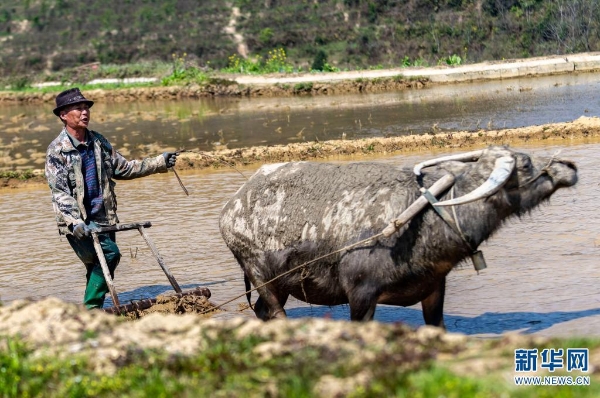 139869238_16179553190751n 139869238_16179553190751n