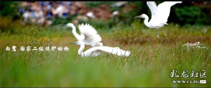 16186465665076153854970974049_68788